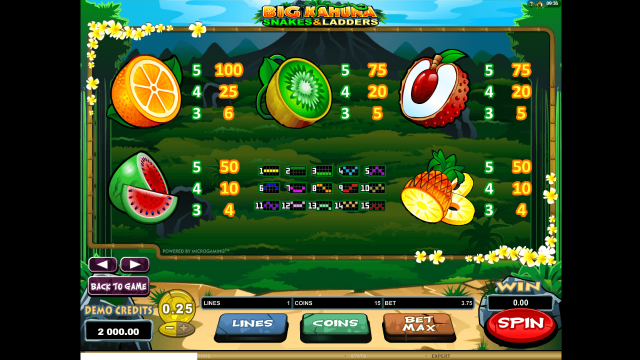 Big Kahuna Snakes And Ladders 6