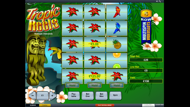 Tropic Reels 8