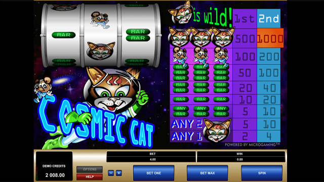 Cosmic Cat 4